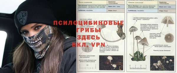 герыч Белоозёрский